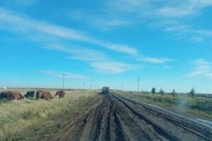 Emsur-Transito-pesado-Caminos-rurales-01