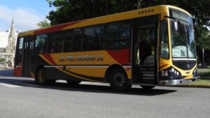 colectivo azul