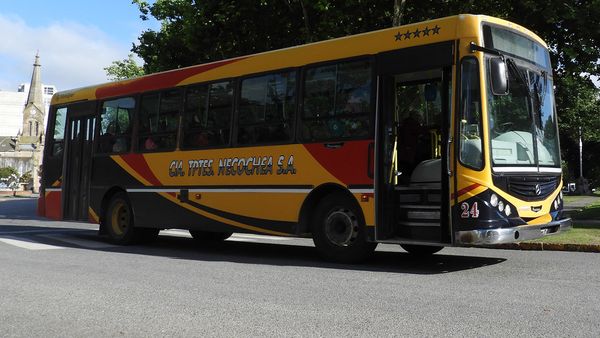 colectivo azul