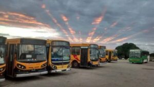 transporte-necochea-e1503005712625