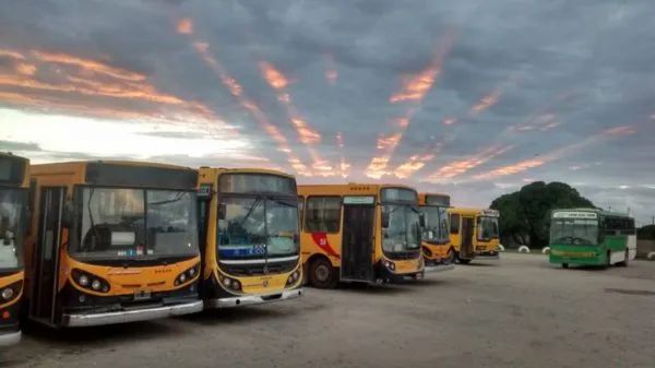 transporte-necochea-e1503005712625
