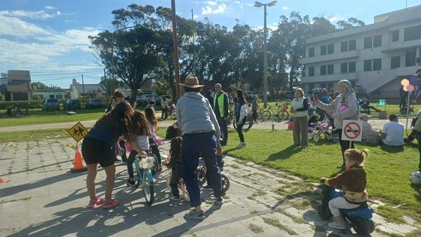 Observatorio vial