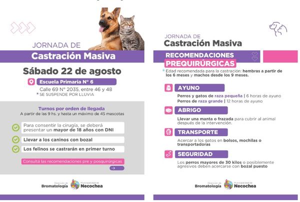 castracion masiva