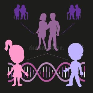genetica