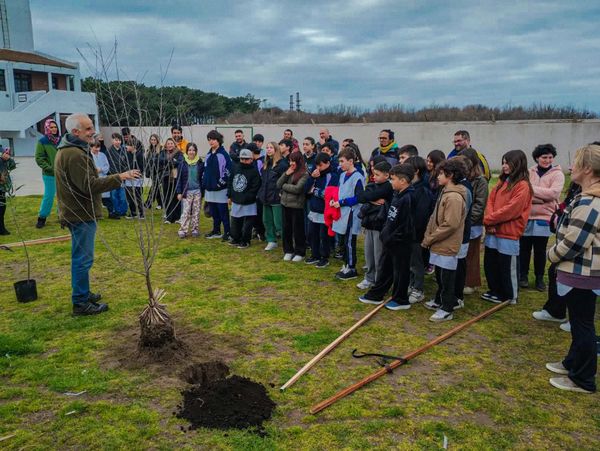 jornada ambiental pq