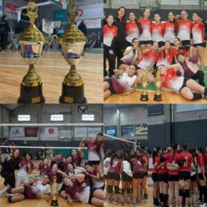 voley femenino municipal