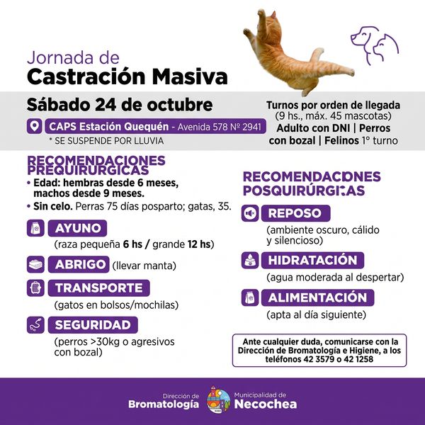 castracion masiva
