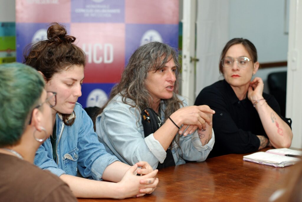 comision de genero