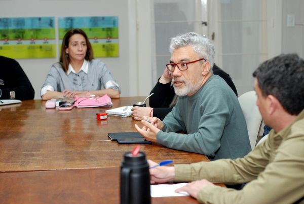 comision seguridad hcd 081026