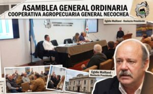 egidio mailland cooperativa